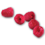 Raspberry pastry flavor icon - five red raspberries