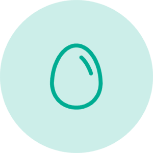 Teal outline drawing of an egg on a light teal circle background